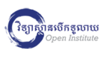 Open Institute